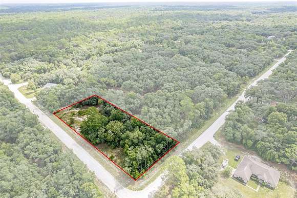 0.98 Acres of Residential Land for Sale in Webster, Florida