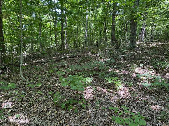 6.8 Acres of Residential Land for Sale in Afton, Tennessee