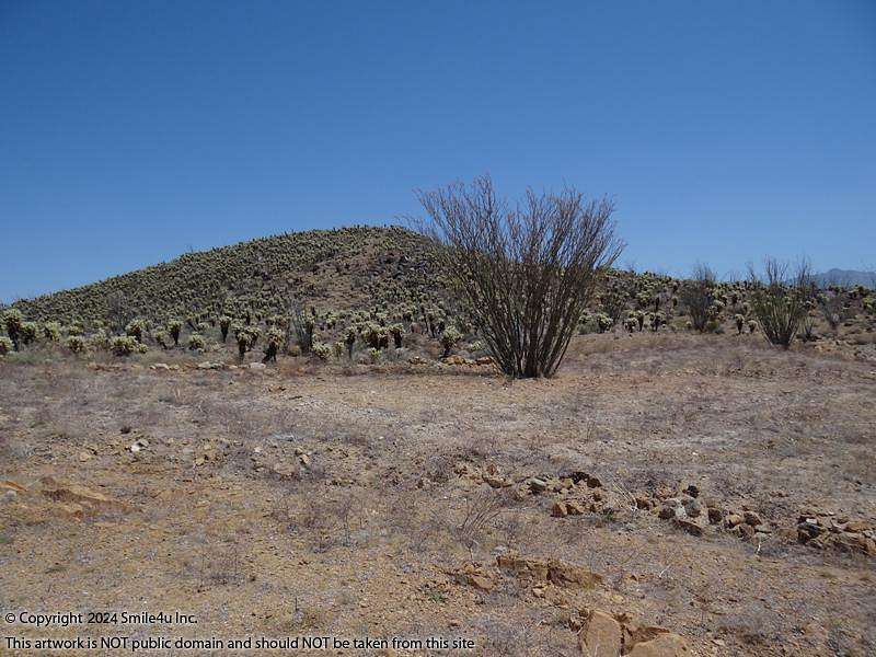 1.13 Acres of Residential Land for Sale in Yucca, Arizona