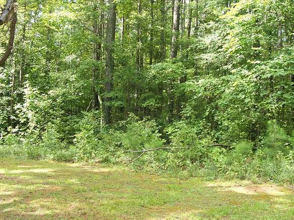 4.8 Acres of Residential Land for Sale in Keysville, Virginia