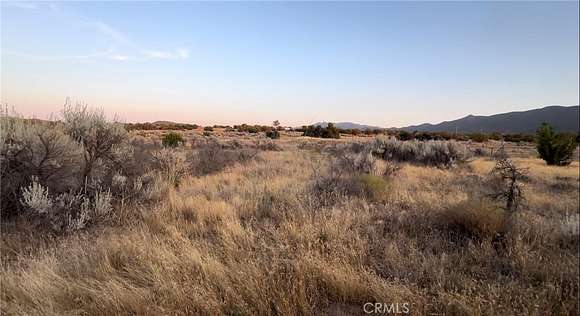 19.49 Acres of Land for Sale in Anza, California