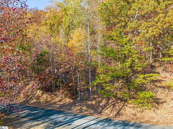 2.72 Acres of Residential Land for Sale in Columbus, North Carolina