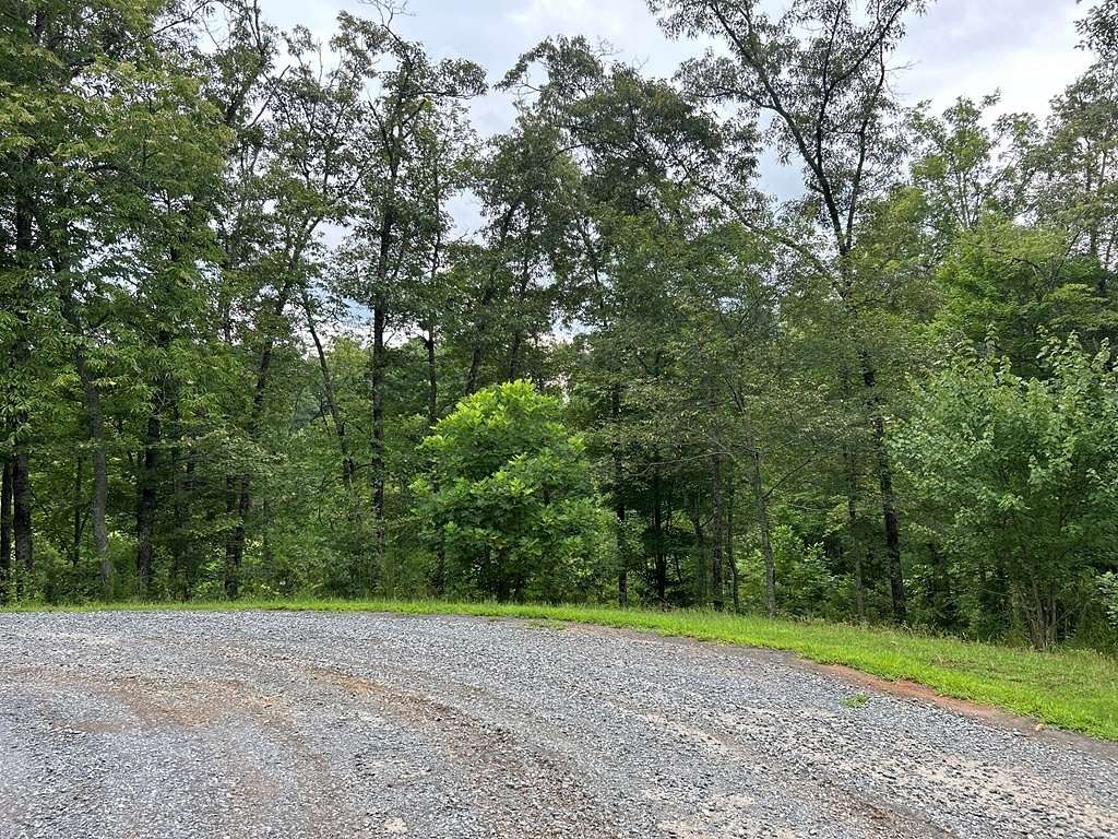 0.5 Acres of Residential Land for Sale in Mineral Bluff, Georgia