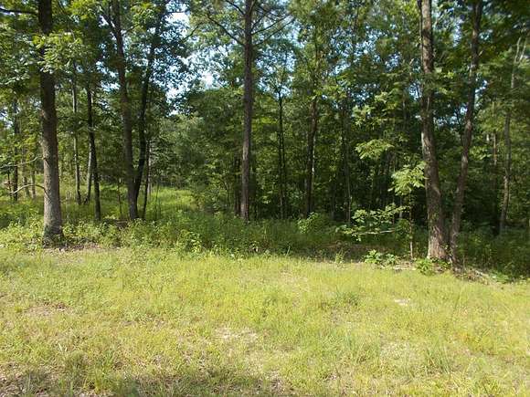 5 Acres of Residential Land for Sale in Camden, Tennessee