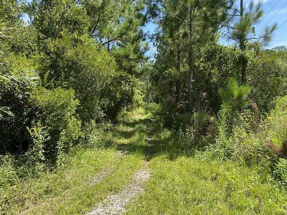 3.91 Acres of Land for Sale in Palatka, Florida