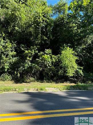 4 Acres of Land for Sale in Sylvania, Georgia