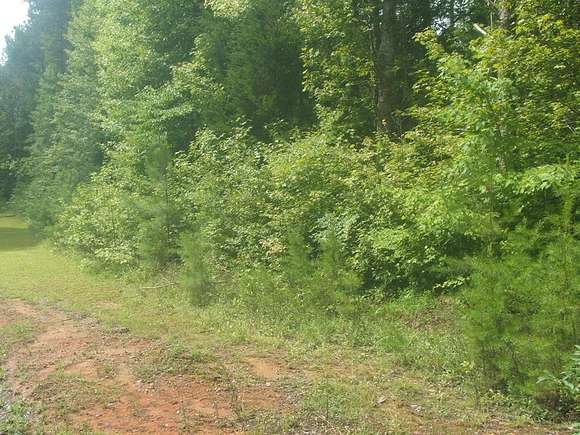 4.8 Acres of Residential Land for Sale in Keysville, Virginia