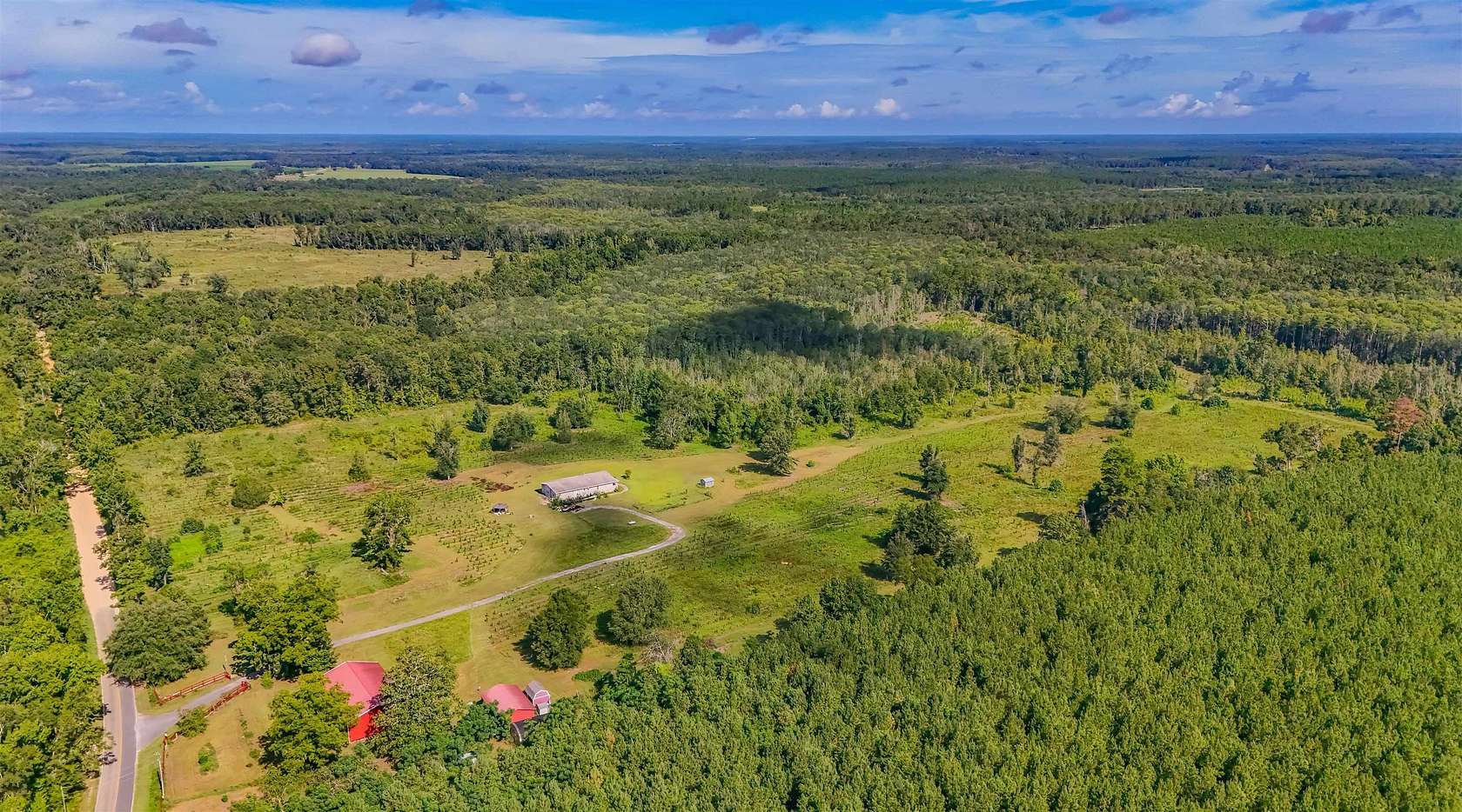 55 Acres of Land with Home for Sale in Madison, Florida