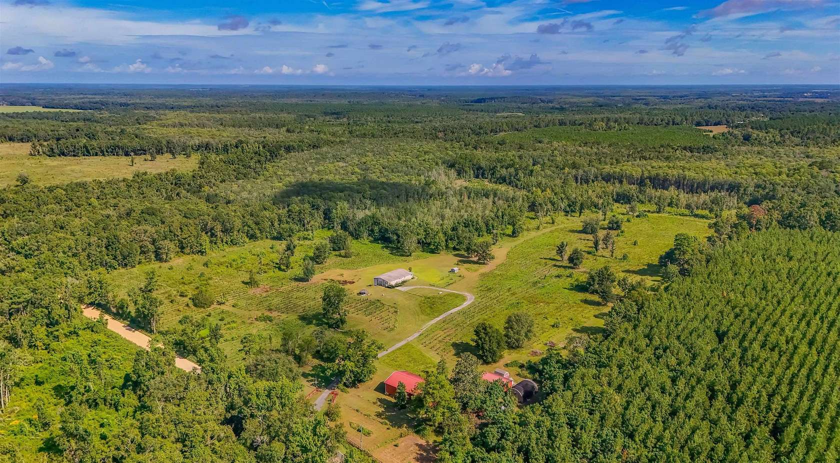 55 Acres of Land with Home for Sale in Madison, Florida