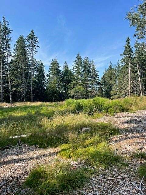 1.3 Acres of Residential Land for Sale in Tremont, Maine