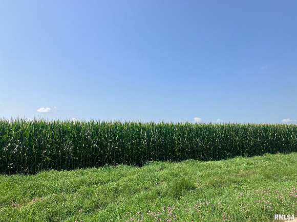 40 Acres of Agricultural Land for Sale in Delavan, Illinois