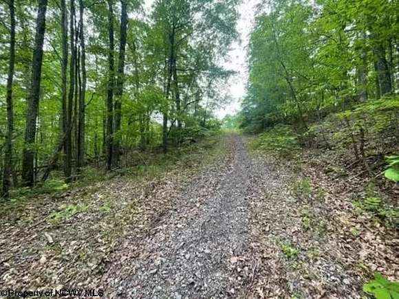 32.87 Acres of Recreational Land for Sale in Weston, West Virginia