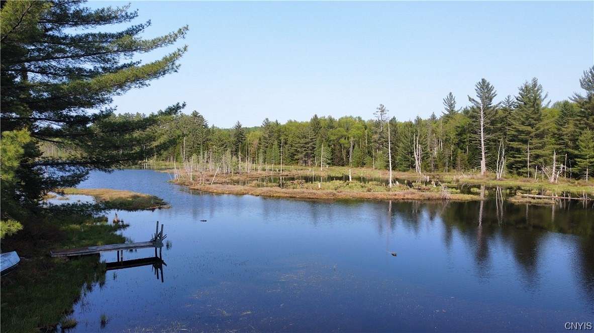 42.1 Acres of Recreational Land with Home for Sale in Watson, New York