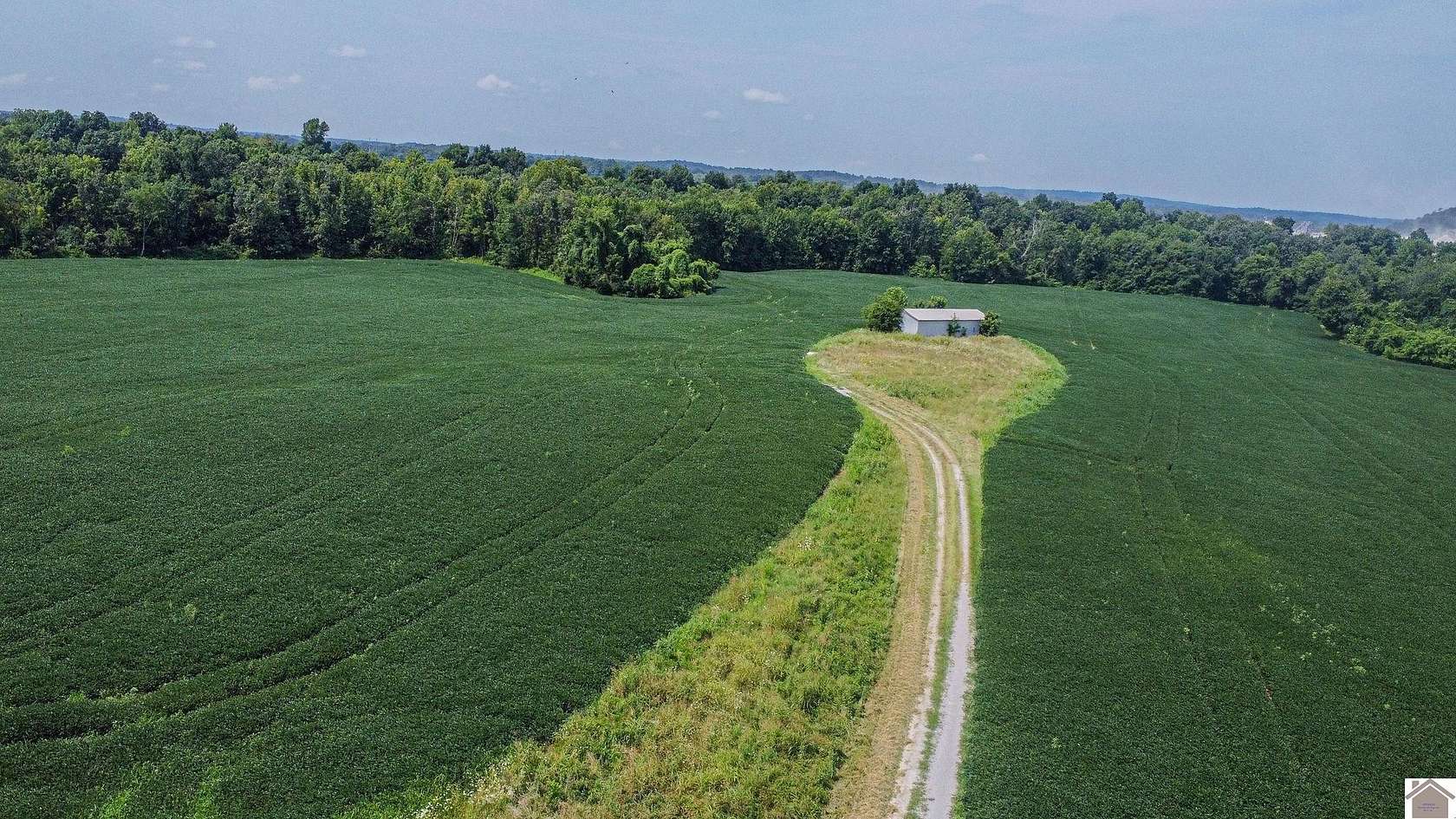 79.13 Acres of Land for Sale in Salem, Kentucky