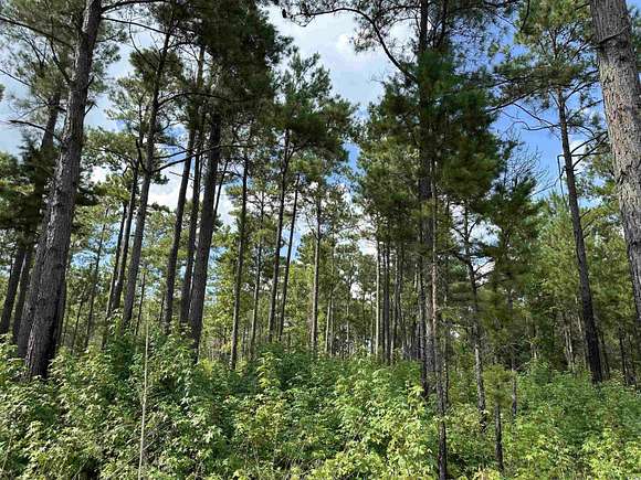 7.16 Acres of Residential Land for Sale in Salters, South Carolina