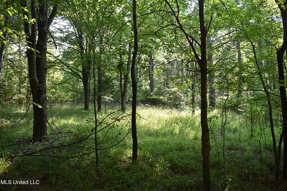 4.86 Acres of Residential Land for Sale in Holly Springs, Mississippi