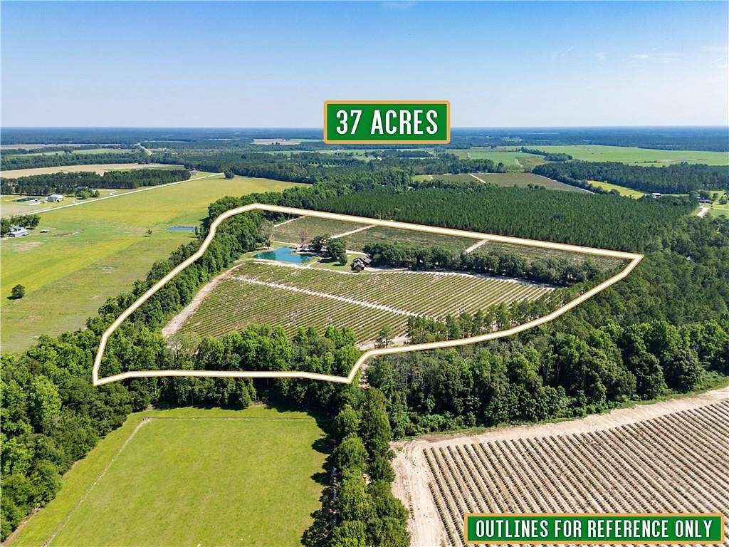 36 Acres of Recreational Land with Home for Sale in Blackshear, Georgia