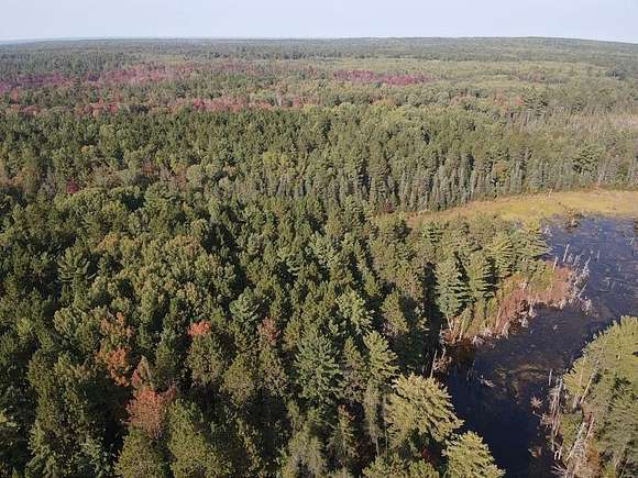 40.15 Acres of Recreational Land for Sale in Indian River, Michigan