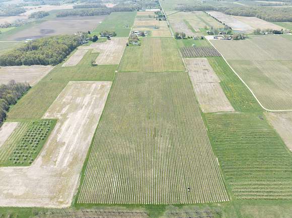 38.2 Acres of Agricultural Land for Sale in Berrien Springs, Michigan