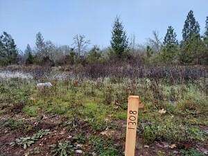 0.25 Acres of Residential Land for Sale in Cave Junction, Oregon