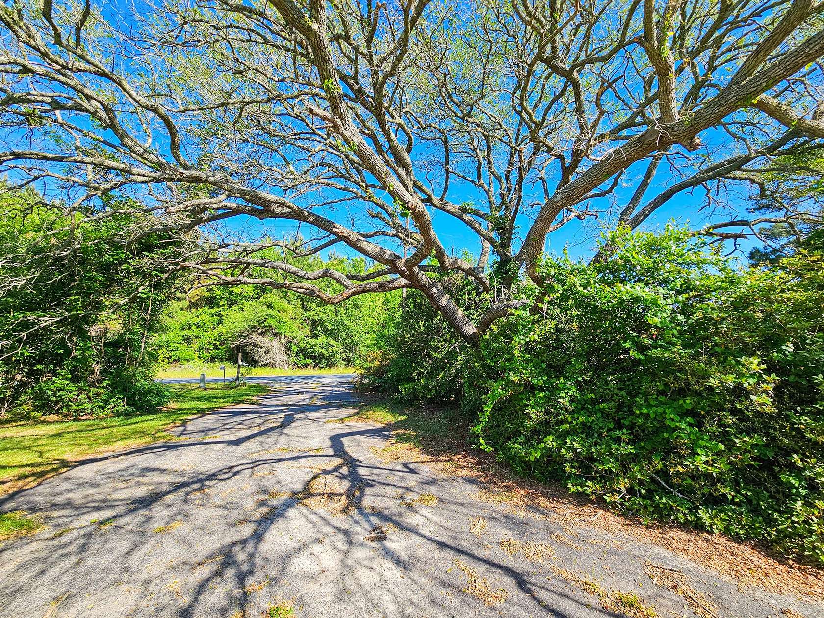 40 Acres of Recreational Land with Home for Sale in Lodge, South Carolina