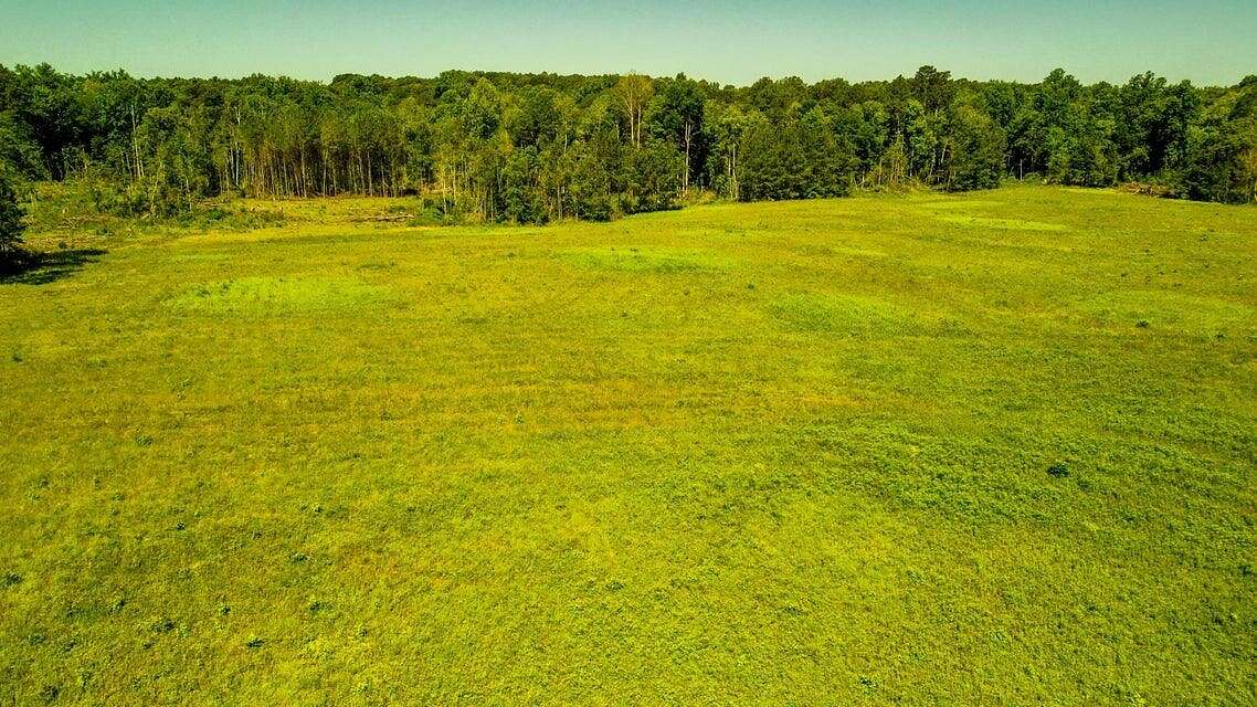 10 Acres of Residential Land for Sale in Purvis, Mississippi