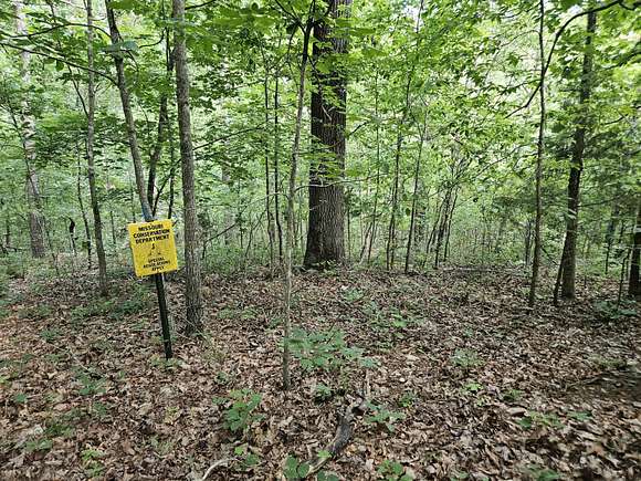 37.5 Acres of Recreational Land for Sale in Eminence, Missouri