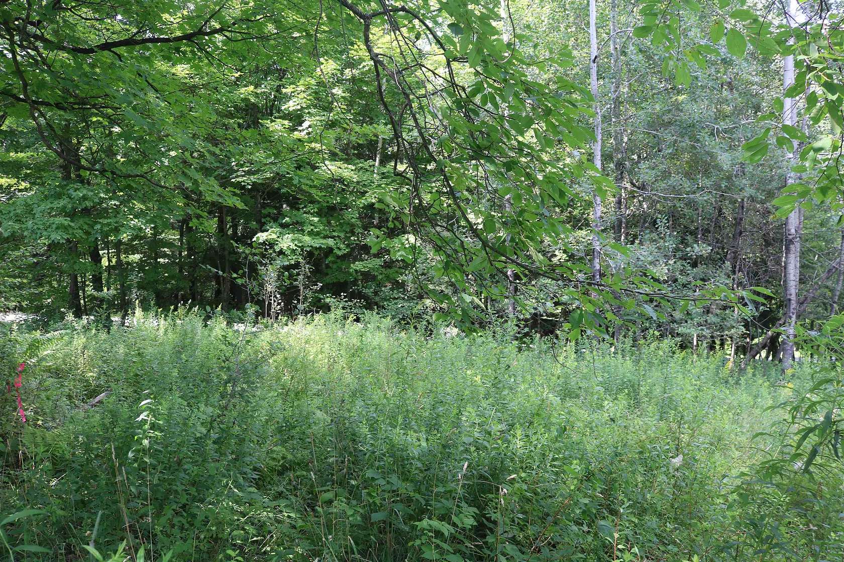 0.42 Acres of Residential Land for Sale in Enosburgh Town, Vermont