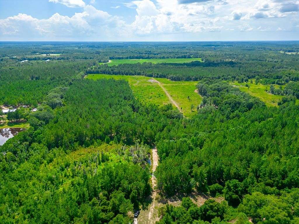 128 Acres of Recreational Land for Sale in Millwood, Georgia