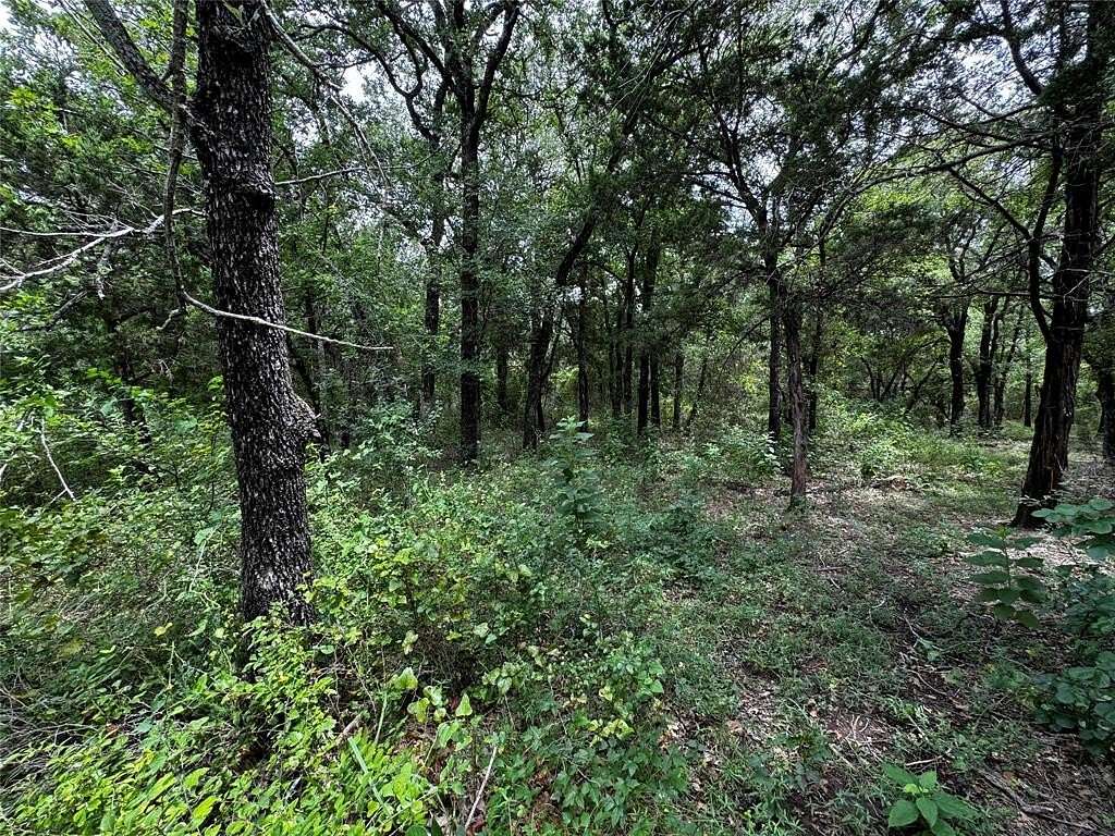 0.25 Acres of Residential Land for Sale in Whitney, Texas