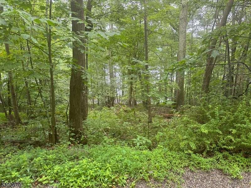 0.228 Acres of Residential Land for Sale in Sandyston Township, New Jersey