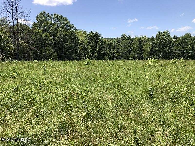 53.48 Acres of Recreational Land for Sale in Pickens, Mississippi