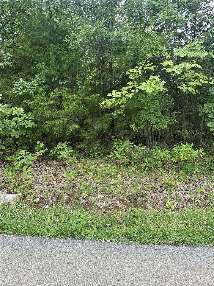 1 Acre of Land for Sale in Rockfield, Kentucky