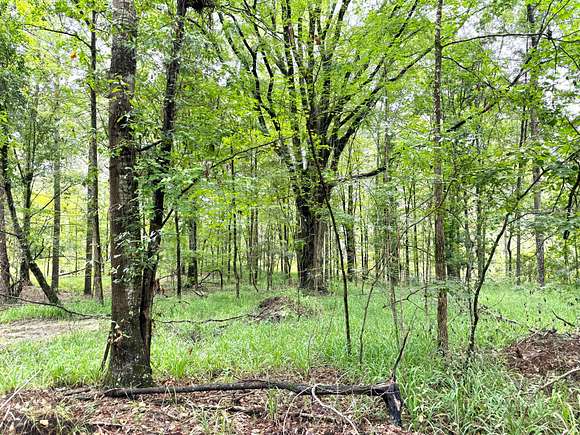 100 Acres of Land for Sale in Union Springs, Alabama