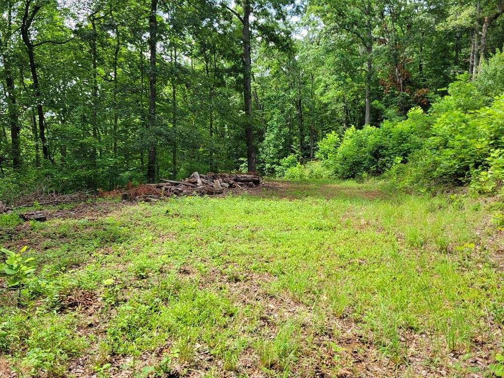 1.309 Acres of Land for Sale in Hiawassee, Georgia