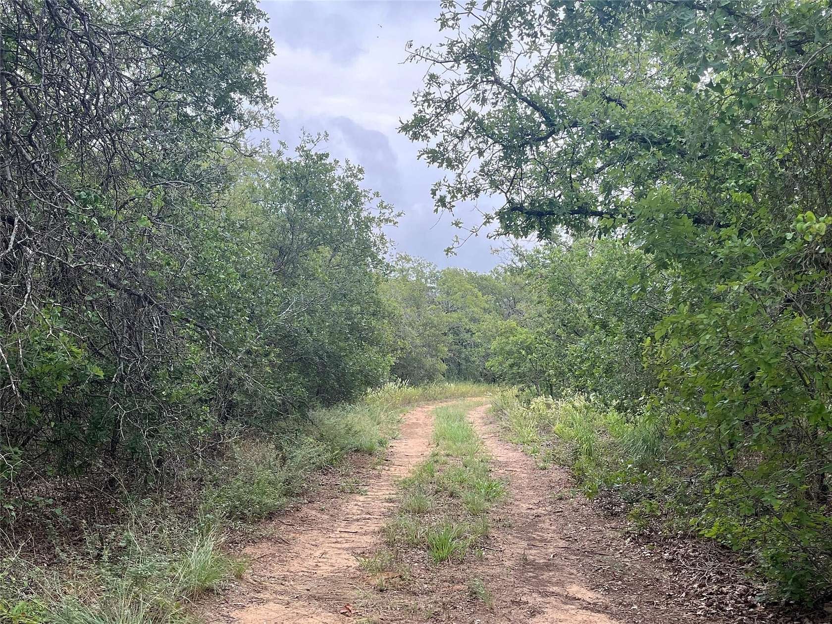 162.86 Acres of Recreational Land & Farm for Sale in Cisco, Texas