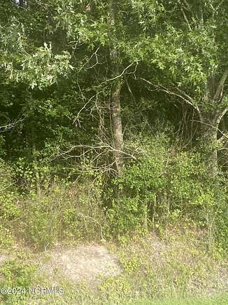 16 Acres of Land for Sale in Hertford, North Carolina