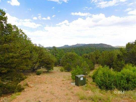 35.3 Acres of Land for Sale in Westcliffe, Colorado