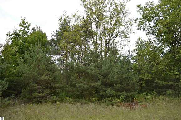 20 Acres of Recreational Land for Sale in Mancelona, Michigan