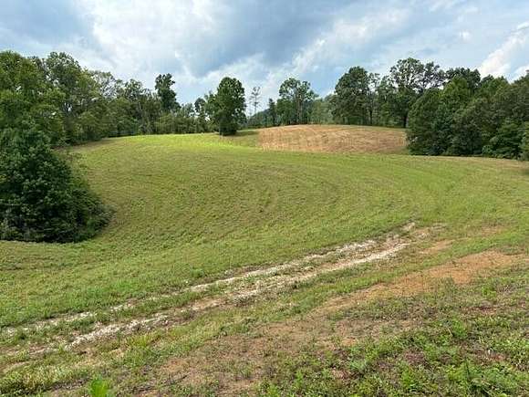 22 Acres of Agricultural Land for Sale in Booneville, Kentucky