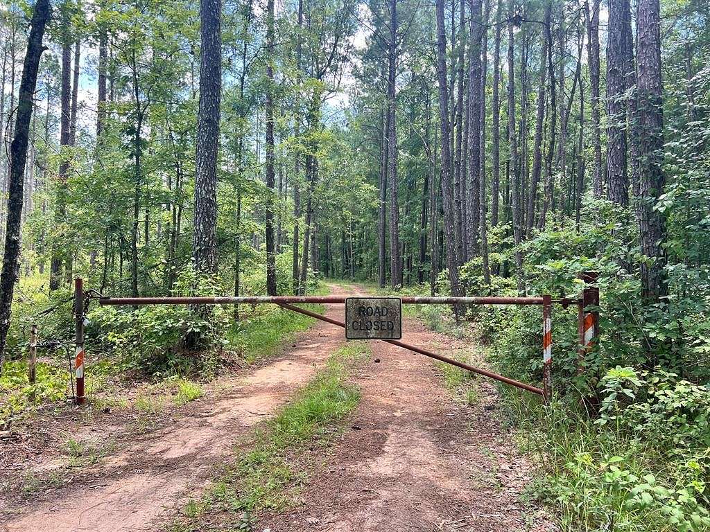 9 Acres of Recreational Land for Sale in Louin, Mississippi