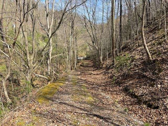 154.42 Acres of Recreational Land for Sale in Garrett, Kentucky