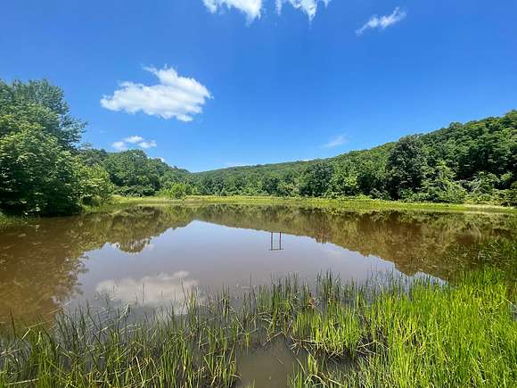 48.39 Acres of Land for Sale in Sand Gap, Arkansas