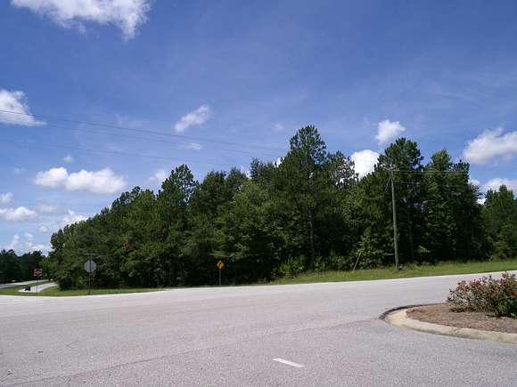 68.7 Acres of Land for Sale in Swainsboro, Georgia