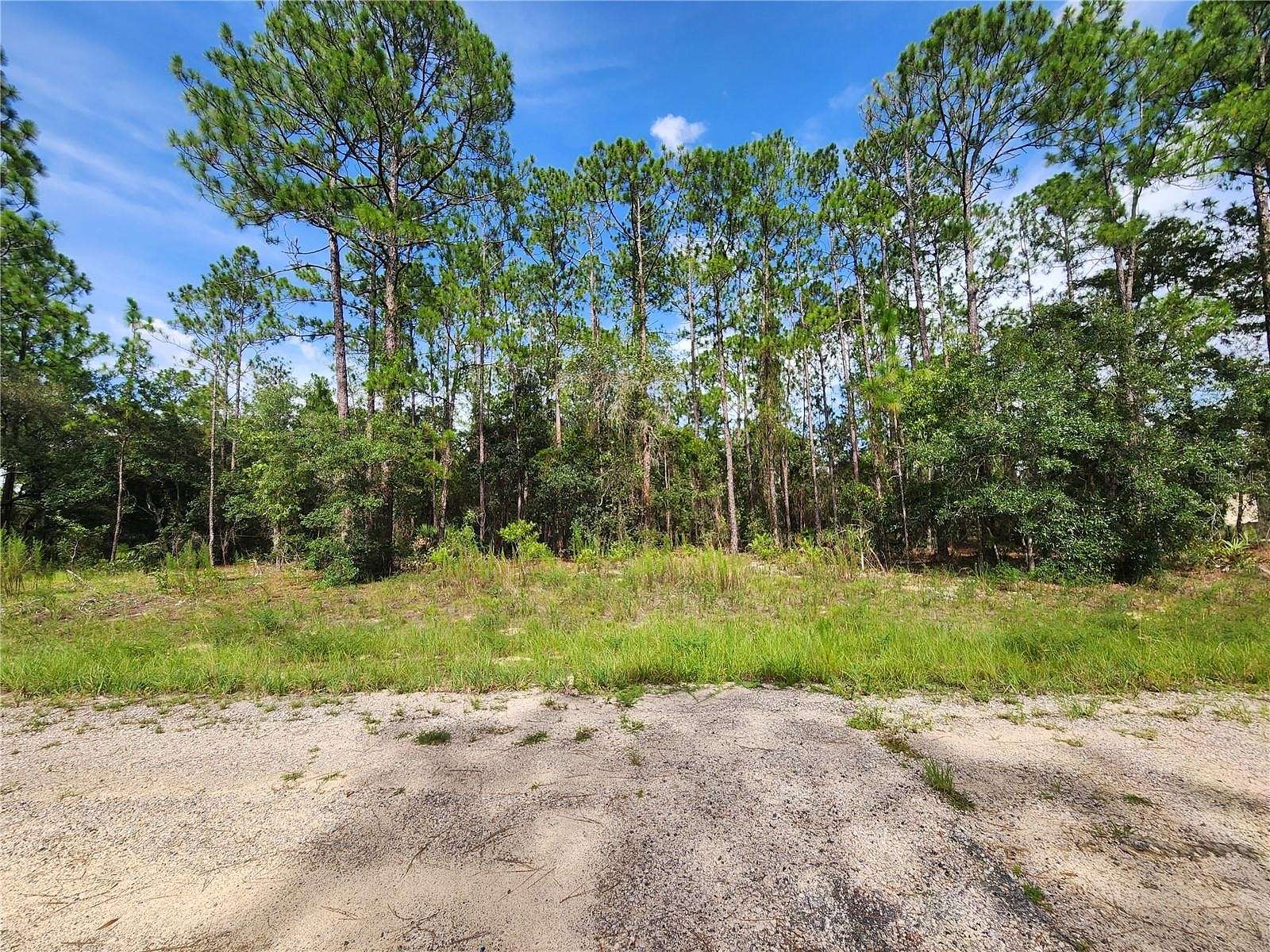 0.23 Acres of Residential Land for Sale in Dunnellon, Florida