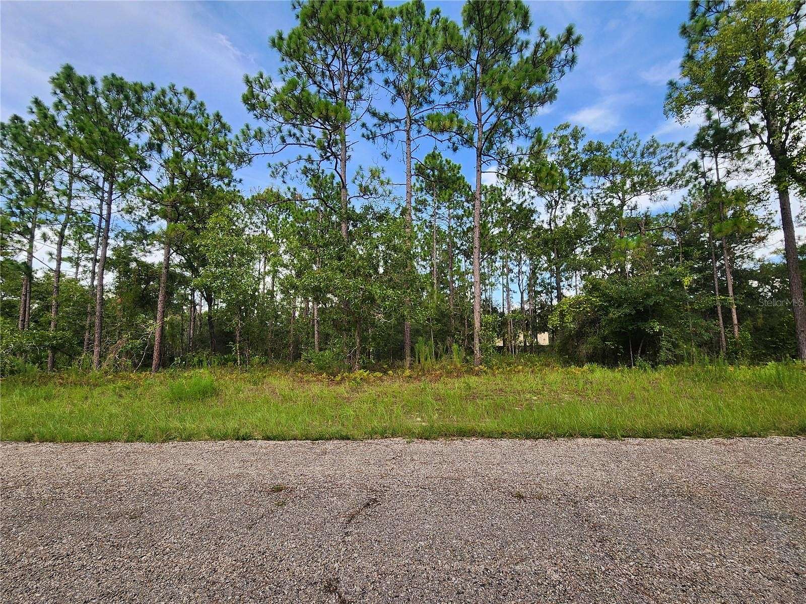 0.23 Acres of Residential Land for Sale in Dunnellon, Florida