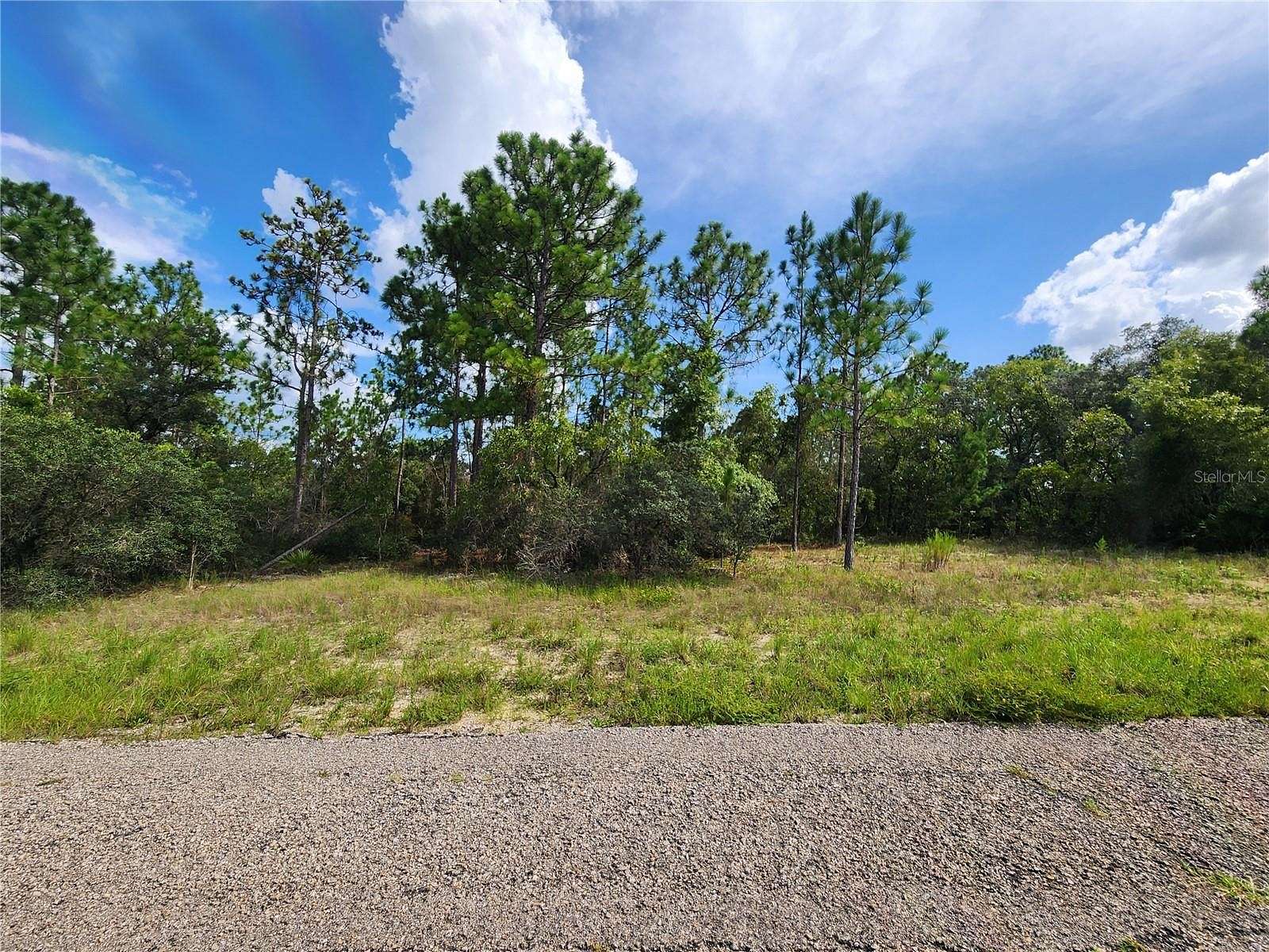 0.23 Acres of Land for Sale in Dunnellon, Florida