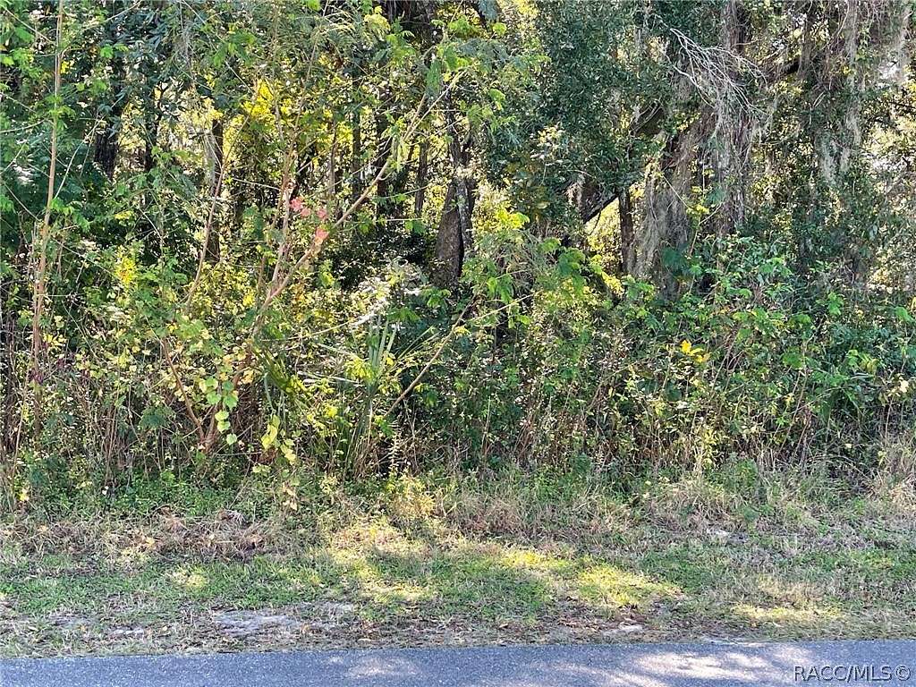 0.44 Acres of Residential Land for Sale in Crystal River, Florida