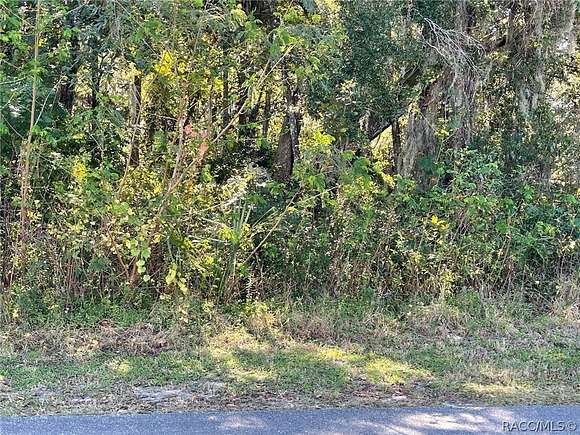 0.44 Acres of Residential Land for Sale in Crystal River, Florida