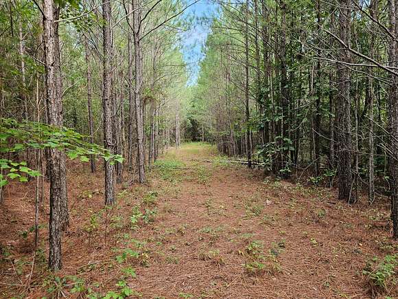 40 Acres of Recreational Land for Sale in Brilliant, Alabama